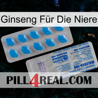Ginseng Für Die Niere new15